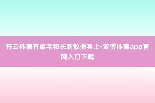 开云体育有柔毛和长刺散播其上-亚傅体育app官网入口下载