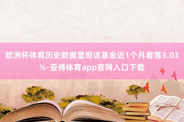 欧洲杯体育历史数据显现该基金近1个月着落3.03%-亚傅体育app官网入口下载